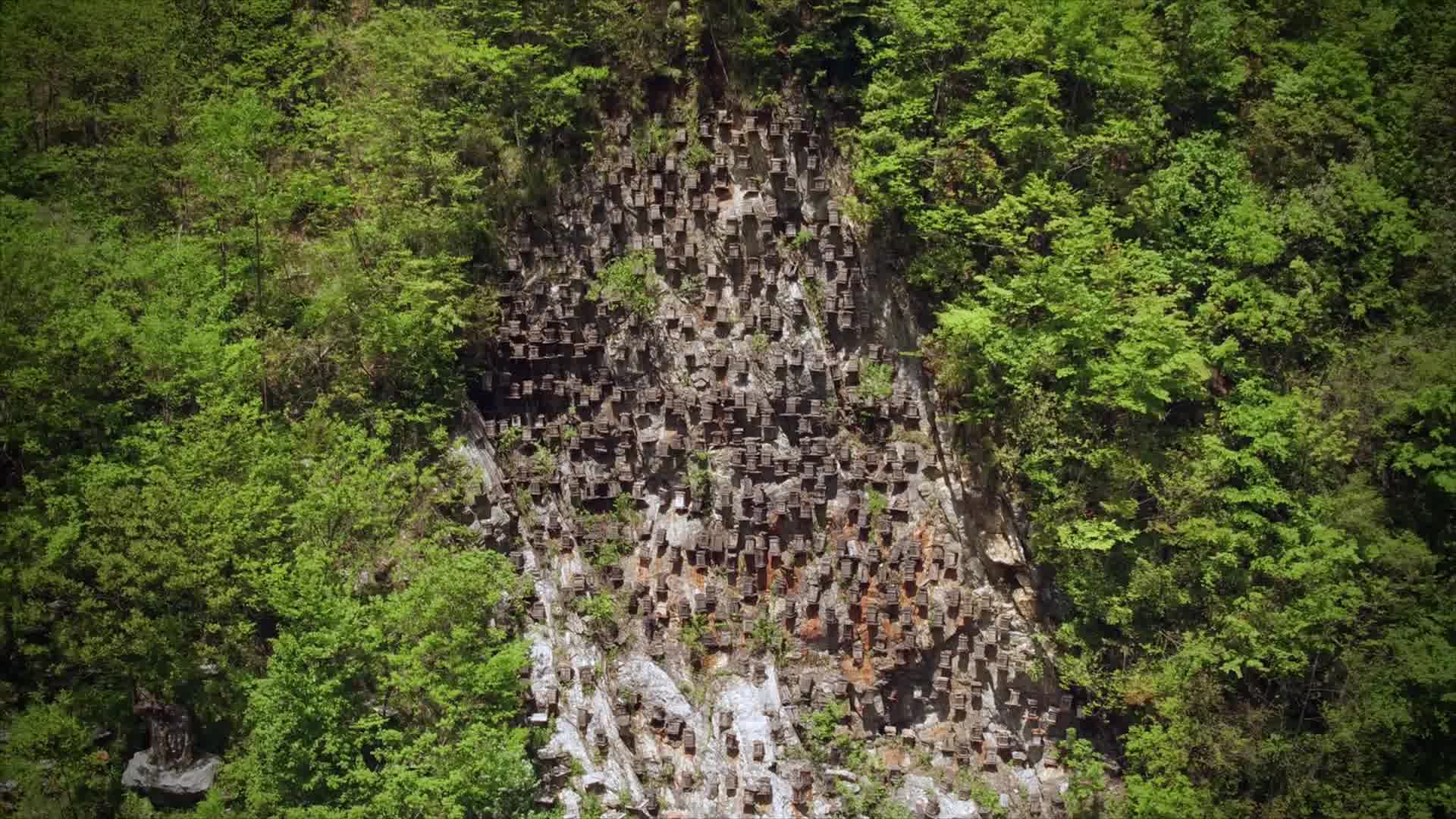 A new sizzle featuring photography up to July 2018 . . only another year…