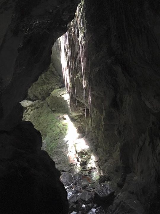 ZDF crew are caving in Westland