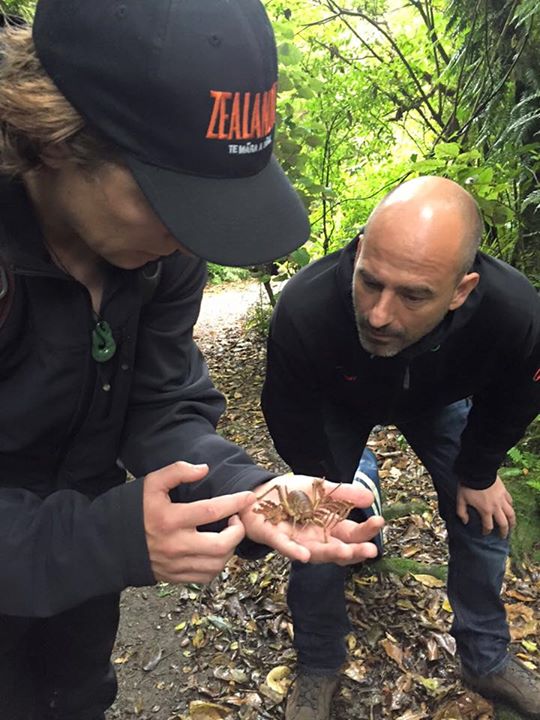 Shooting today with ZDF for Terra X at Zealandia in Wellington. Tuatara and Giant…