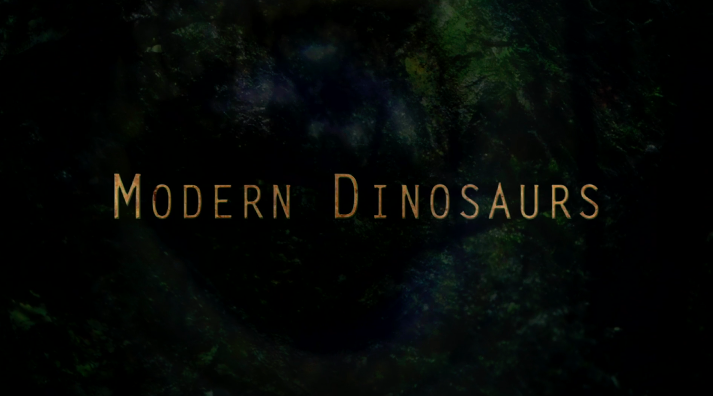 Modern Dinasaurs