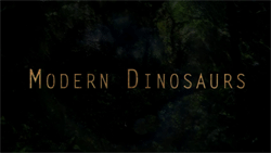Modern Dinasaurs